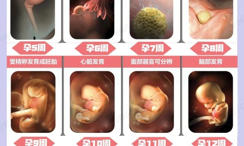 哺乳期黄精网-分享哺乳期黄精乌黑膏可以吃吗，哺乳期黄精能吃吗知识库