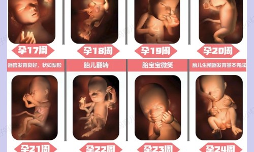 哺乳期黄精网-分享哺乳期黄精乌黑膏可以吃吗，哺乳期黄精能吃吗知识库