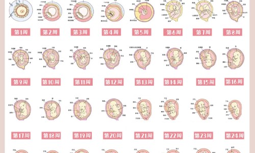 哺乳期黄精网-分享哺乳期黄精乌黑膏可以吃吗，哺乳期黄精能吃吗知识库